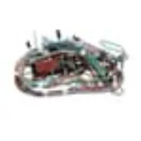 6017164 BERTAZZONI Wiring Lamp Fans Ignition