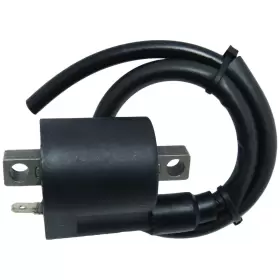 WX-V271-9 BULBSANDBATTERIES Ignition Coil Honda