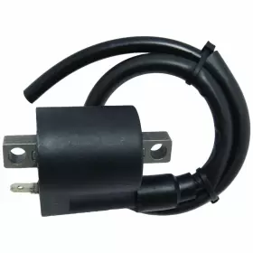 WX-V775-1 BULBSANDBATTERIES Ignition Coil Kawasaki