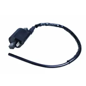 WX-VHWJ-8 BULBSANDBATTERIES Offroad Ignition Coil