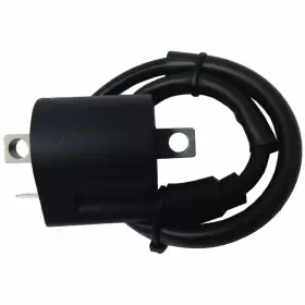 WX-VQS1-6 BULBSANDBATTERIES Ignition Coil Yamaha