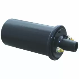 WX-XQZG-1 BULBSANDBATTERIES Ignition Coil General Gm