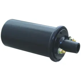 WX-XR01-1 BULBSANDBATTERIES Ignition Coil General Gm