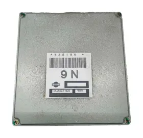 JA18N17 NISSAN Sentra Ecu Module