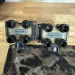 Oem Motorcraft Dg530 F57u-12029-aa Coil Pack Set Ford Ranger Mustang Mazda Used. Fixed Price $12.75.