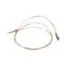 Bertazzoni 508064 1/2" Thermocouple Mm800 Stainless Steel Npt Connection. Fixed Price $36.82.