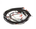 Oem Hestan 008607 Harness Wire Light & Ignition Phase 4 Connection. Fixed Price $199.99.