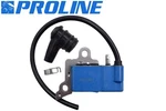 Proline Ignition Coil For Echo Srm-3020 Shindaiwa C302 T302 A411001780. Fixed Price $32.95.